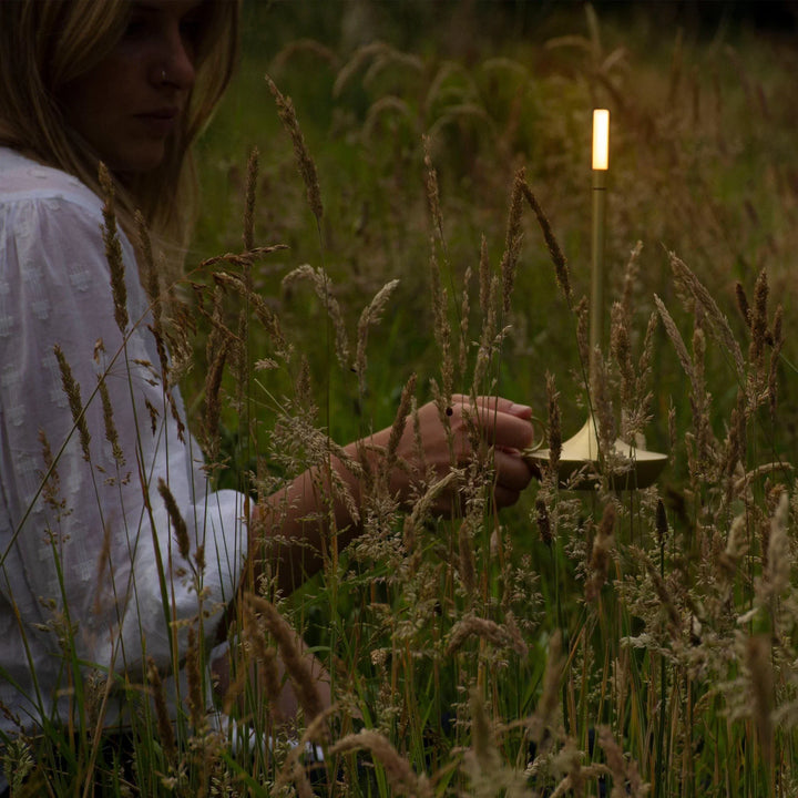 Giavi Candlelight 