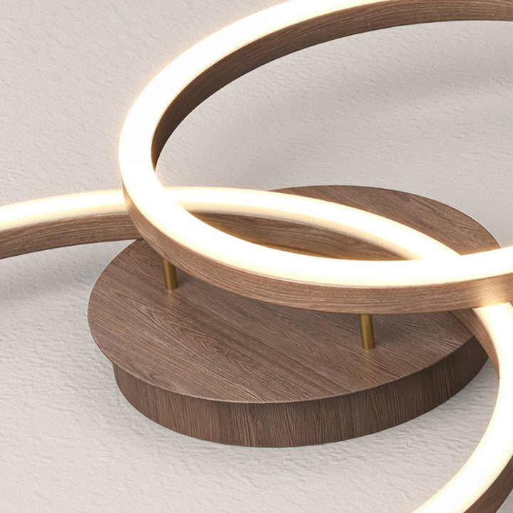Elegant ring ceiling light