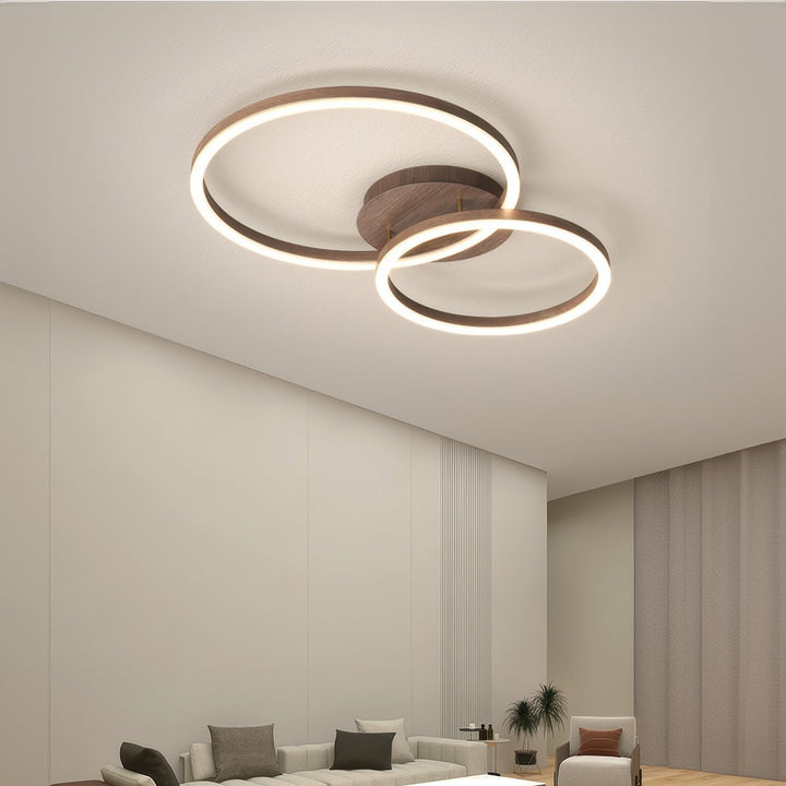 Elegant ring ceiling light