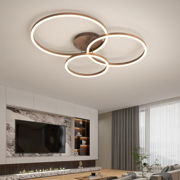 Elegant ring ceiling light