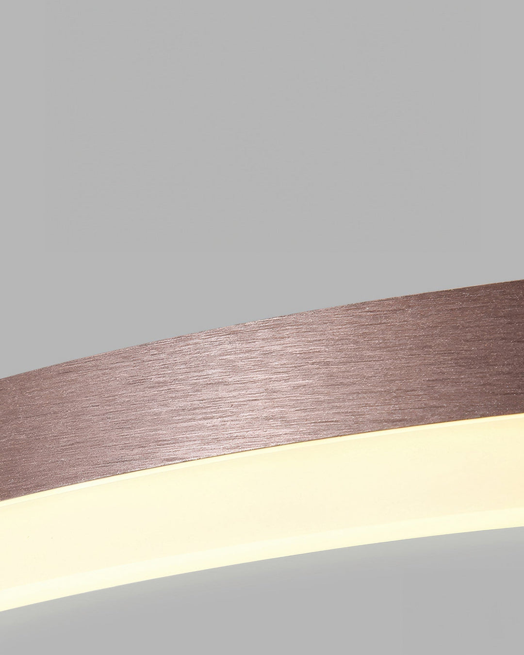 Elegant ring ceiling light