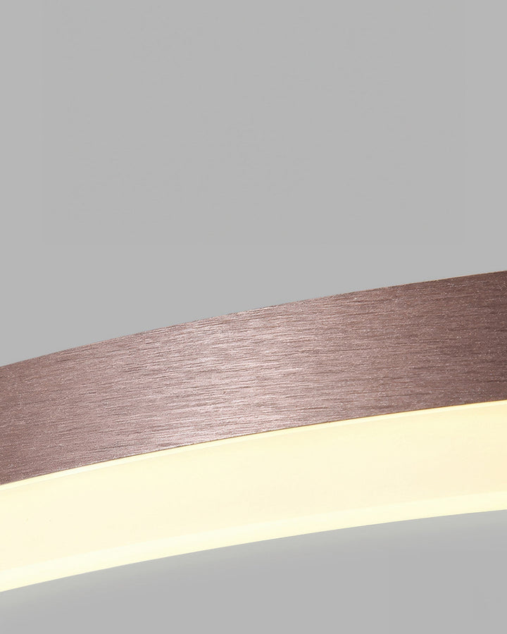 Elegant ring ceiling light
