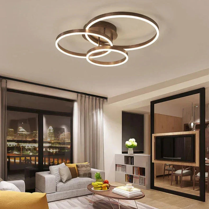 Elegant ring ceiling light