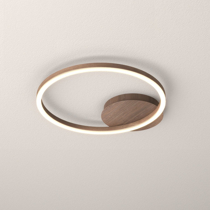 Elegant ring ceiling light