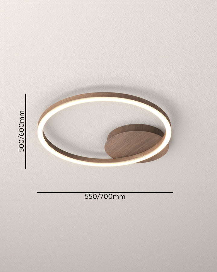 Elegant ring ceiling light