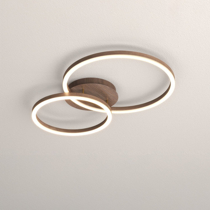 Elegant ring ceiling light