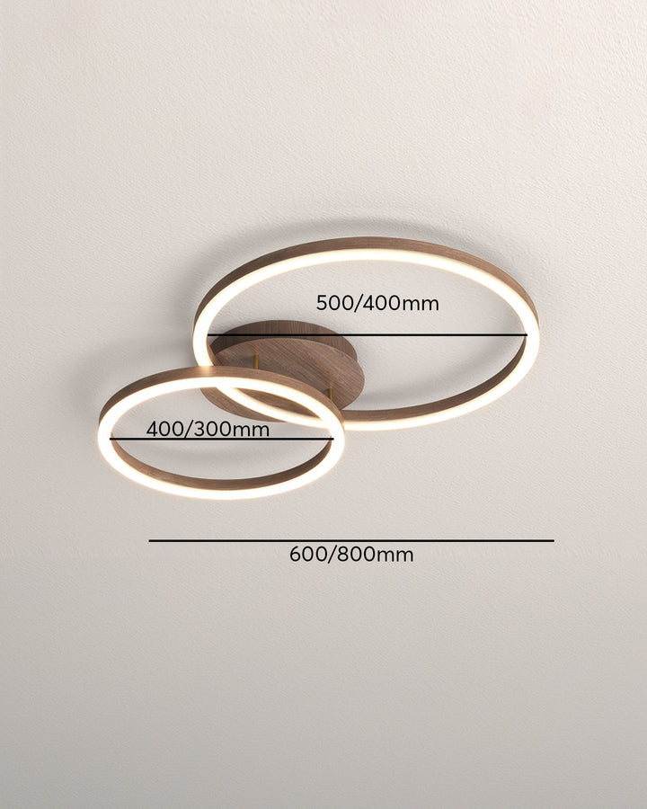 Elegant ring ceiling light