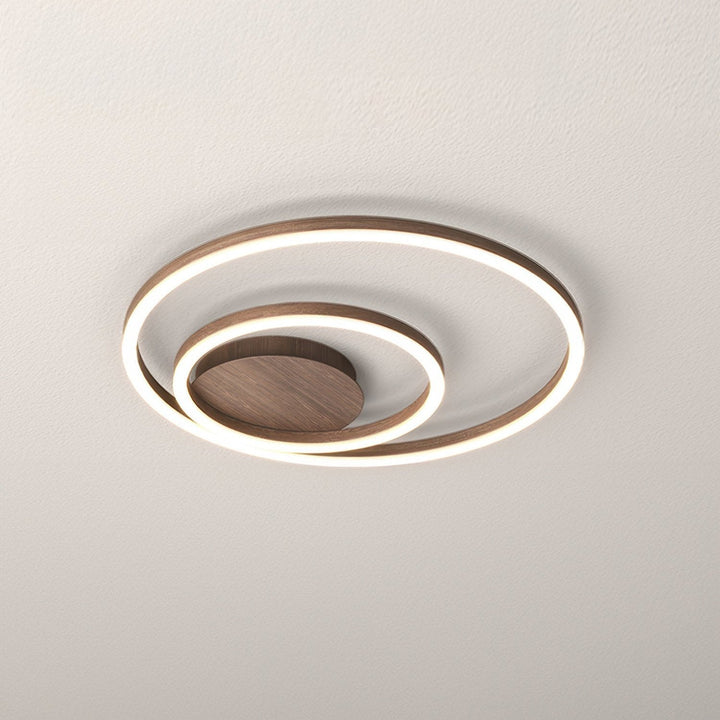 Elegant ring ceiling light
