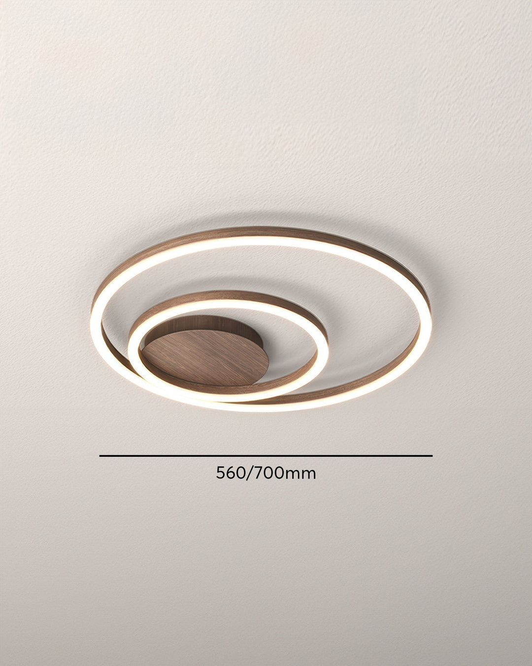 Elegant ring ceiling light