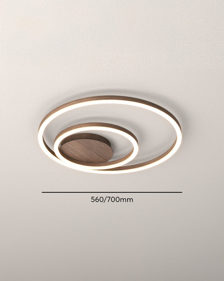 Elegant ring ceiling light