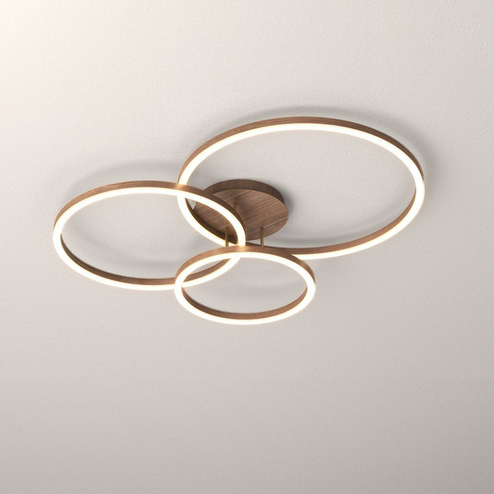 Elegant ring ceiling light