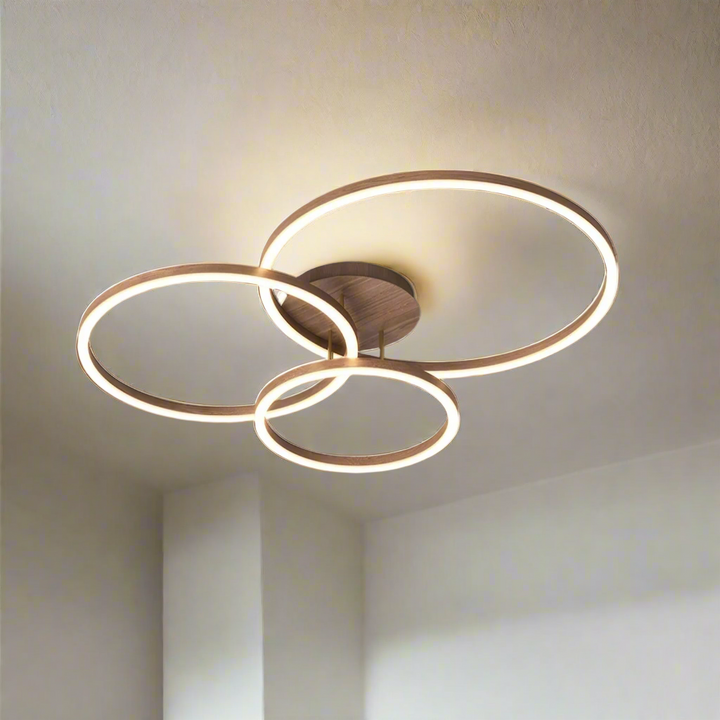 Elegant ring ceiling light