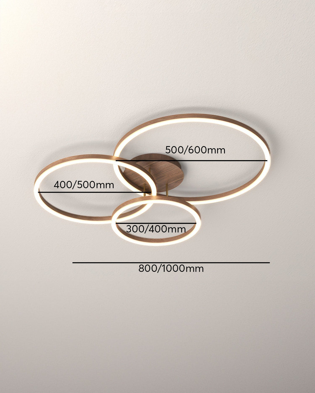 Elegant ring ceiling light