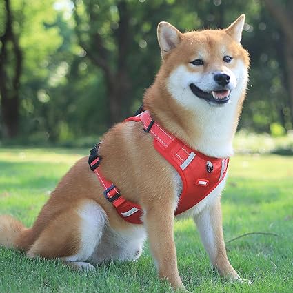 SafetyStrap™ | Reflektierendes Anti-Stick Hundegeschirr (50% Rabatt)
