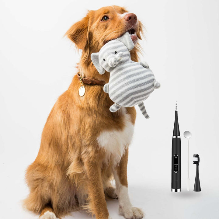 ToothPup - Four-legged Friendship Dog Tooth Cleaner 